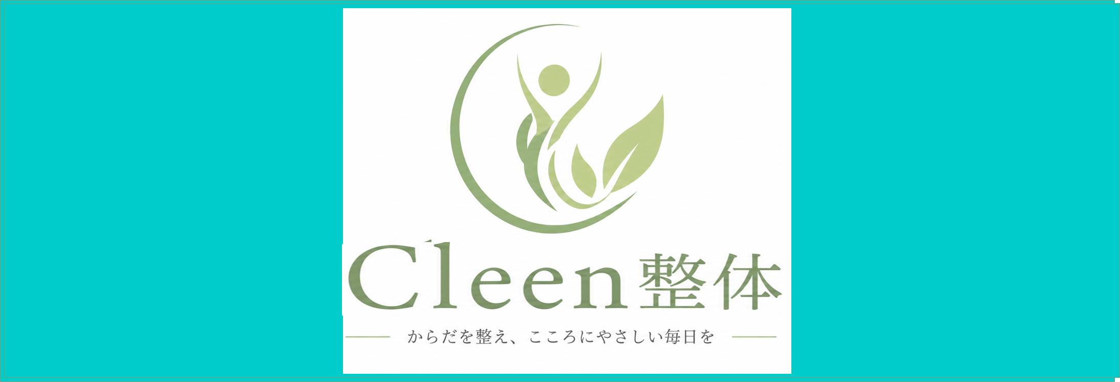 Cleen整体